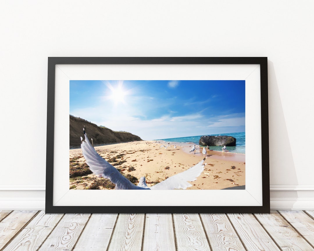 Be the Bird - Art Print - Interior Design - Wildlife Photography ...