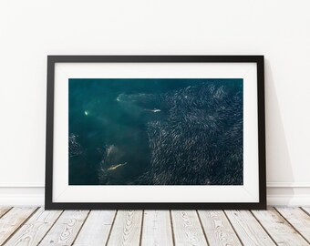 The Push - Striped Bass on Bunker Art Print - Interior Design - Fishing Photography - Decor