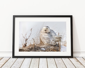 May include: A snowy owl with white and brown feathers sits on a bed of dried grasses and snow. The owl has yellow eyes and is looking to the side.
