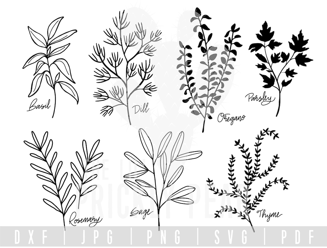 Herb SVG Bundle Herb Printables DXF JPG Etsy