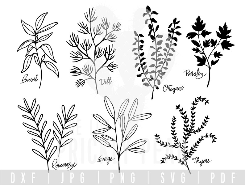 Download Herb SVG Bundle Herb Printables DXF JPG | Etsy