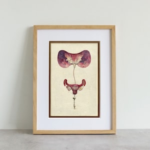 Uterus Womb Floral Print | My Body My Choice | 5x7 | Wall Art, Art Print