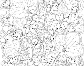 Smoky Mountain Wildflower PDF Coloring Page, Instant Download