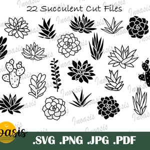 Succulent SVG Bundle - Cactus Clipart - Desert Plants SVG - Modèles de coupe papier - Téléchargement numérique instantané