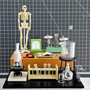 May include: A miniature laboratory set featuring a skeleton, microscope, beakers, and scales. The scene includes a green meter, test tubes, and a small tray with a yellow object. The background is a gray grid.