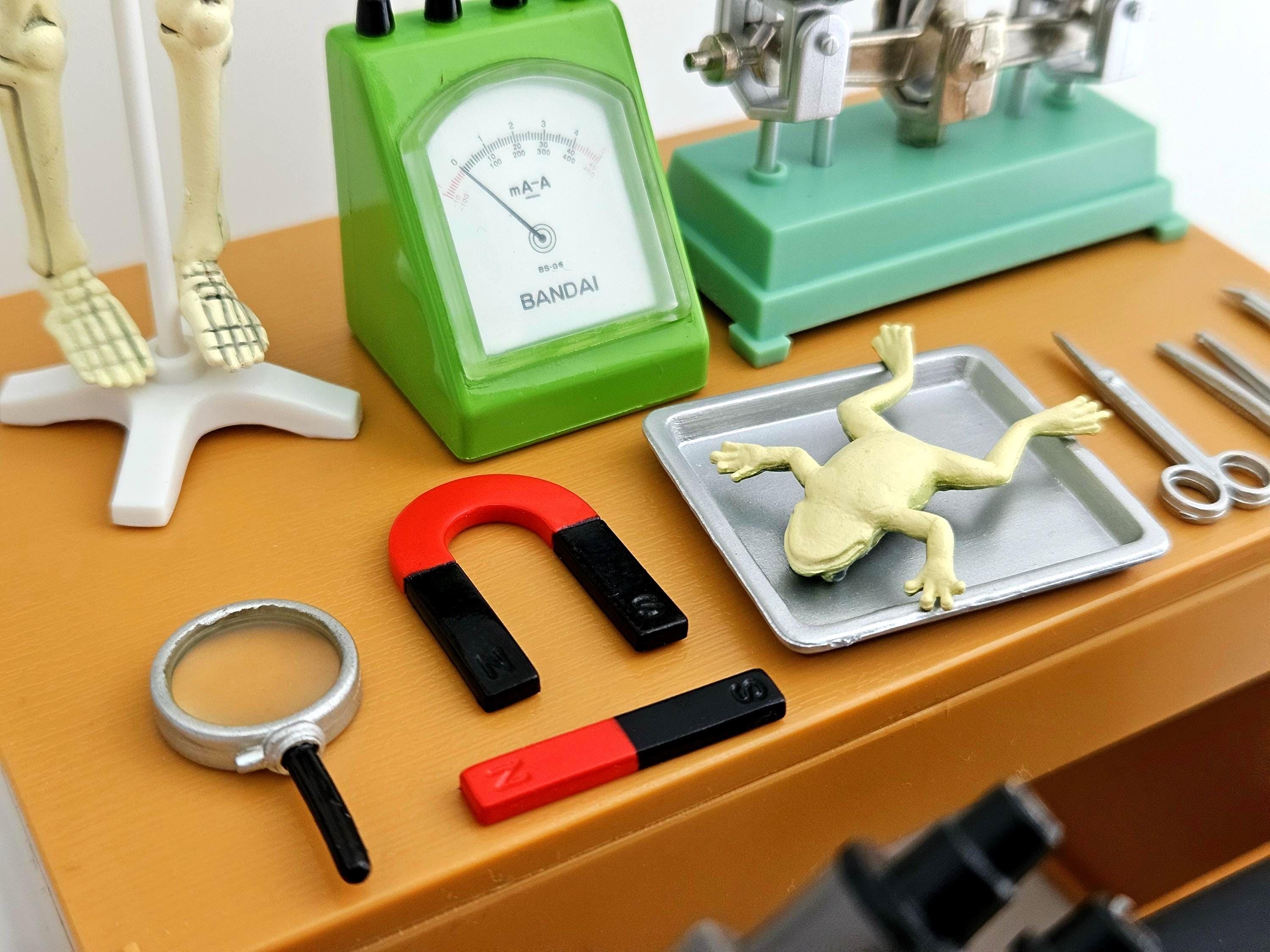 SALE 1/6 Scale Miniature Science Lab Microscope, Skeleton, Binocular ...