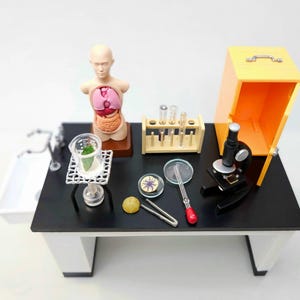 Op de afbeelding: Een miniatuur wetenschapslaboratorium speelset met een zwarte tafel, een microscoop, een menselijk anatomiemodel, reageerbuizen, een bekerglas en een klein kastje.