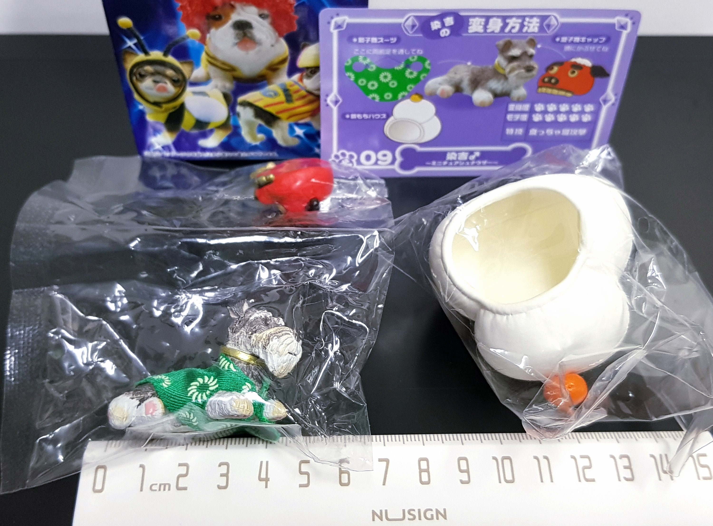 1/6 Scale Re-ment Dollhouse Miniature Pet Figure Petit