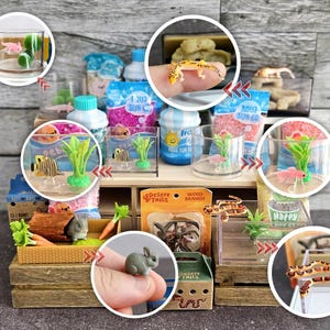 Peut inclure: Une collection de figurines d'animaux miniatures et d'accessoires pour animaux, incluant de petits poissons, un lézard, un lapin et un serpent, présentés avec des réservoirs transparents, des sacs de gravier coloré et des emballages Aqua Sun Co et Desert Tails.