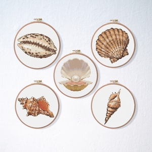 May include: Five different types of seashells are displayed in individual embroidery hoops. The shells are a variety of colours and shapes, including a scallop shell, a conch shell, and a clam shell.