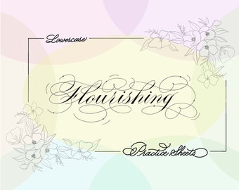 Kleine letters: oefenbladen voor bloeiende kalligrafie