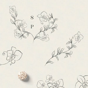 Set of Line Drawing Delicate Orchid Flowers illustrations. Wreaths, Frames. Cards, Logo, Branding, Wedding Invitations, Textiles, Packaging.