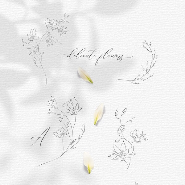 Line drawing botanical illustrations ~ 20 elements ~ flowers, wreaths and branches ~ vector eps, svg cut files, png ~ flower logo, wedding