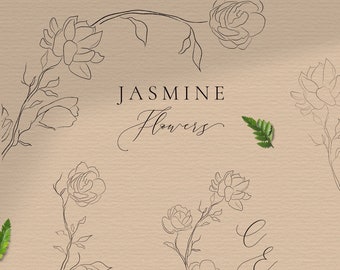 Line drawing Jasmine Flower illustrations Floral Decorative Wreaths clipart fine art graphic botanical line art , SVG, frames, leaf logo