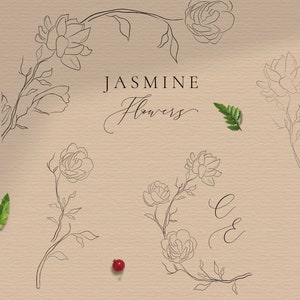 May include: A set of line art illustrations of jasmine flowers. The illustrations are in black and white and feature various arrangements of the flowers, including a wreath and individual stems.