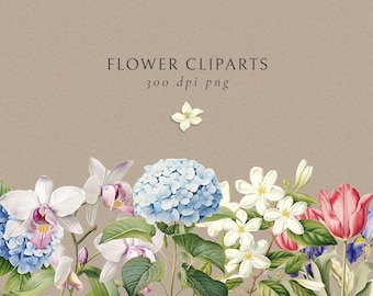 Vintage Charm Flower Clip Art, Hand-Drawn Botanical Prints, High-Resolution PNG Images, Individual Flowers Clipart Collection, illustrations