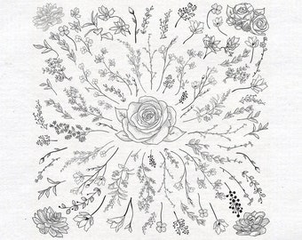 Individual Black Hand Drawn Herbs, Plants and Flowers, Branches, Florals. Vector Illustration fully editable. EPS, SVG, JPG. Doodle graphic.