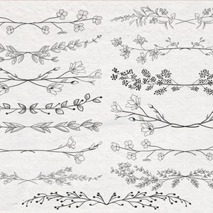 Hand drawn vector floral diveders. SVG, EPS, PNG. Borders decorated with hand drawn delicate flowers, branches, leaves, blossom. Botanical.