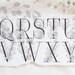 Spring Graphic. Floral Alphabet. Floral Designs, Monograms, Patterns ...