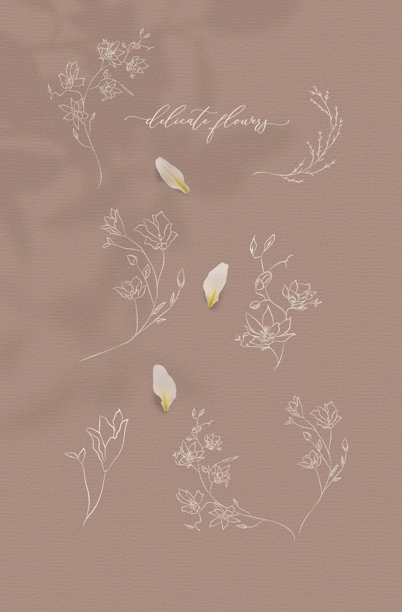 May include: A collection of delicate floral line art illustrations in white, including sprigs, blossoms, and petals, against a muted rose-colored background. The words "delicate flowers" are written in cursive.