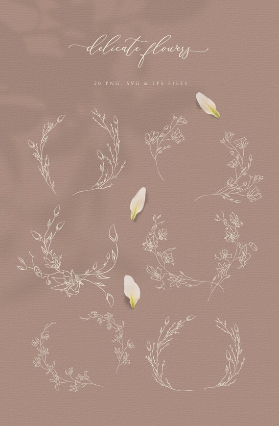 Botanical Line Drawing Illustrations, Floral Wreaths, Branches (EPS, SVG, PNG)