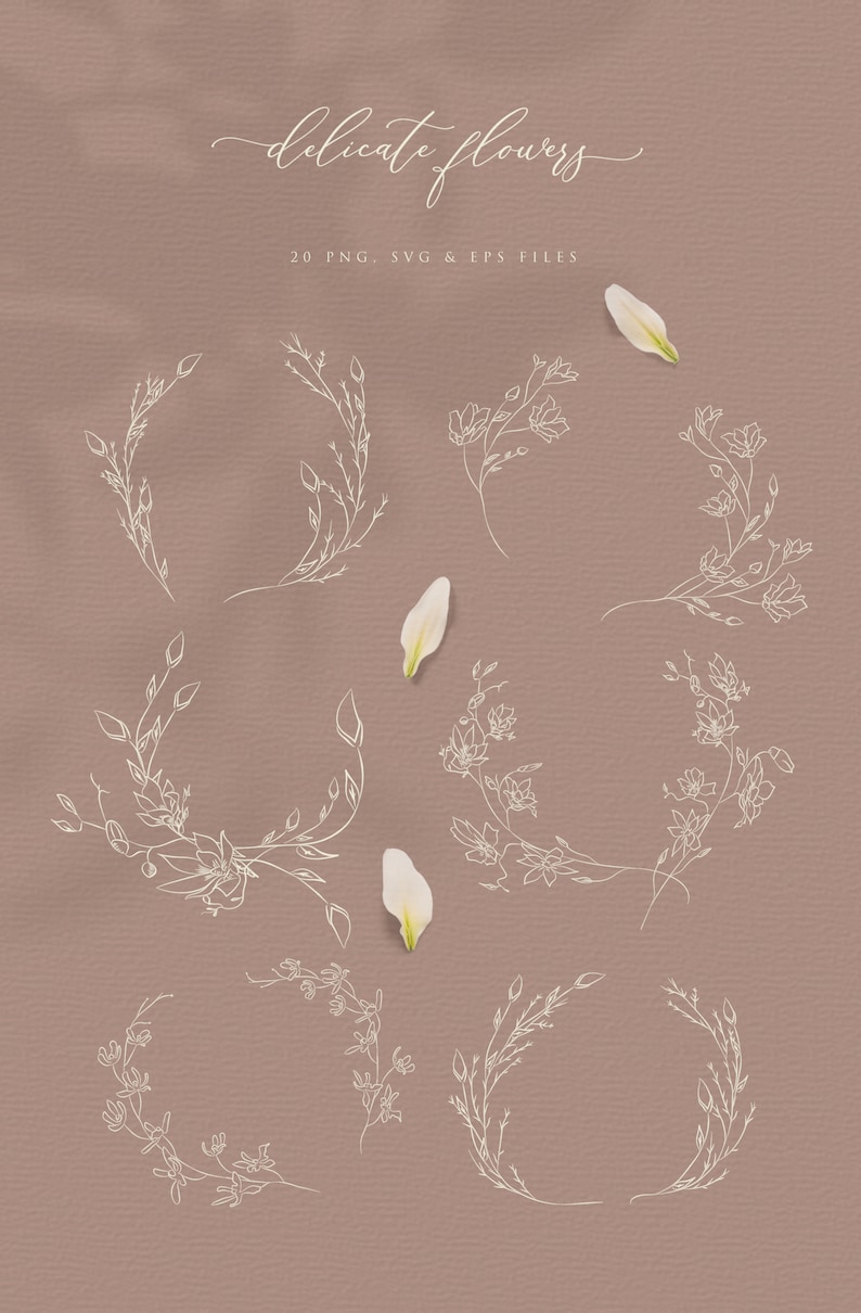 May include: A collection of delicate floral illustrations in white, including wreaths and sprigs, on a muted brown background. The text "delicate flowers" is written in cursive. The image also includes several white flower petals.