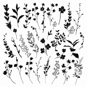 Black Hand Drawn Herbs, Plants and Flowers, Branches, Florals Shapes, Silhouettes. Vector Illustration. AI, EPS, SVG, png, cut files