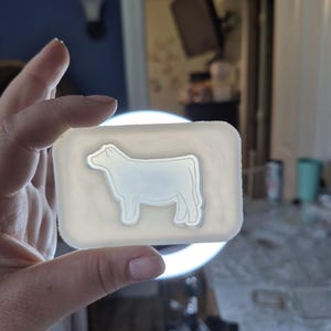4 inch, Show steer mold, steer mold, show cow mold, farm animal mold, steer mold, cow mold, silicone mold, resin mold, keychain mold, mold