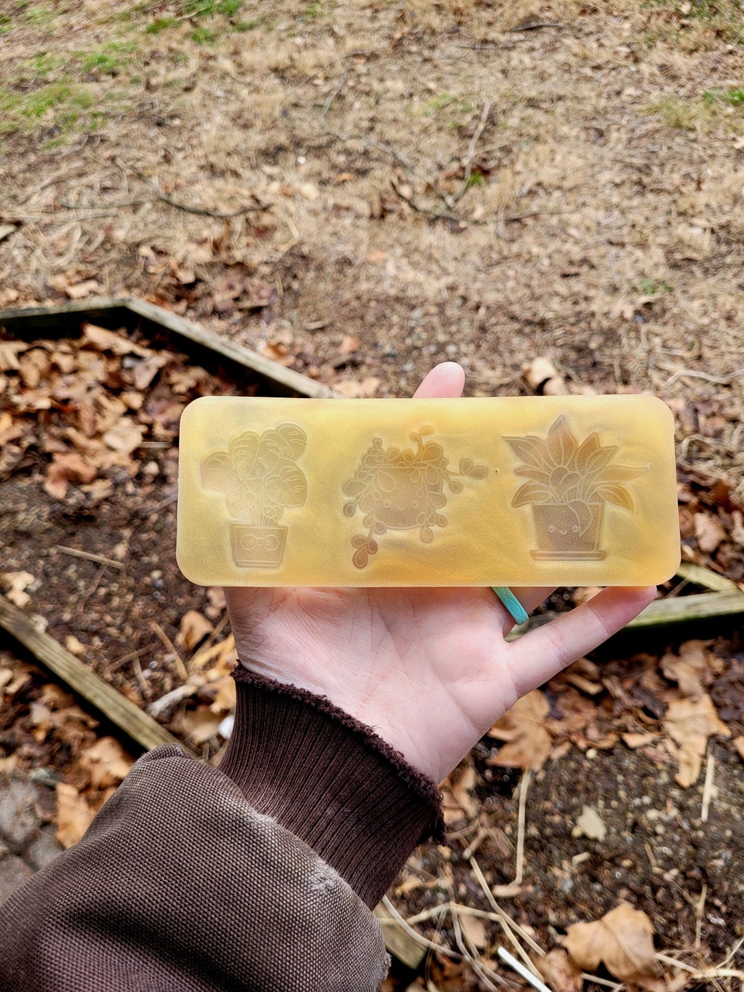 2 Inch String of Pearls Mold Monstera Mold Plant Mold Etsy