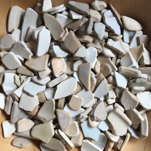 May include: A bowl filled with a variety of white and beige ceramic shards. The shards are of different sizes and shapes, and some have a slight glaze.