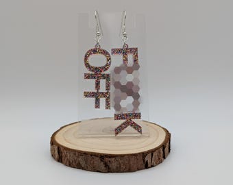 Curse Word / Swear Word Insult Dangle Earrings