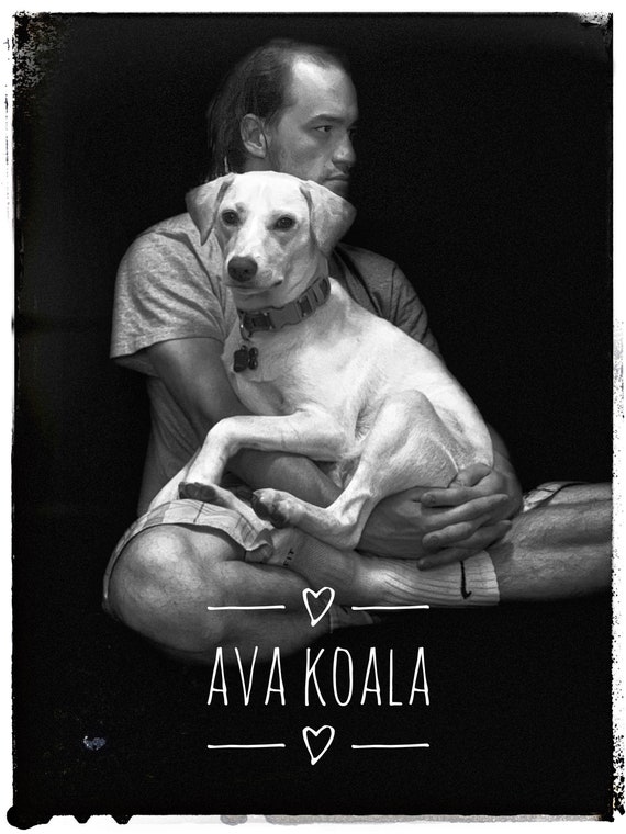 Custom Animal Portraits Black And White Or Color Etsy