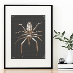 May include: A framed black and white illustration of a spider with long legs on a dark gray background.