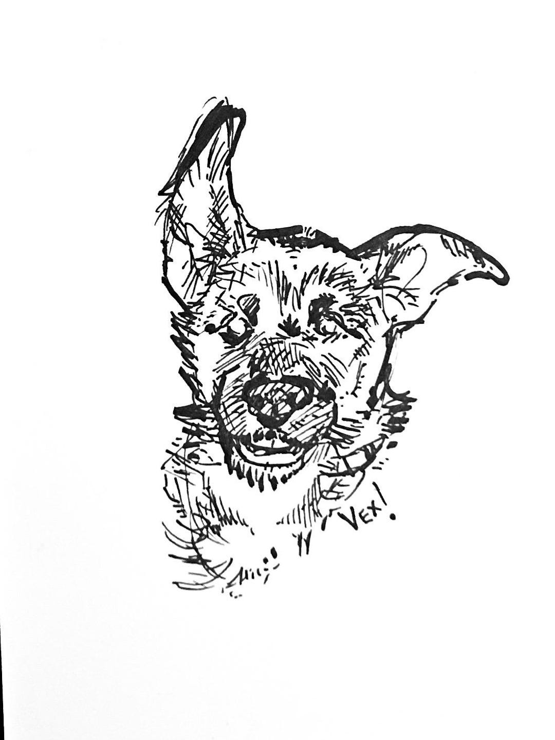 Custom Pet Portrait: 5x7 Pen and Ink Drawing, Any Animal - Etsy
