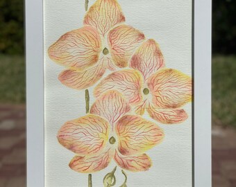 Watercolor orchid in orange