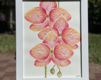 Watercolor orchid in pink