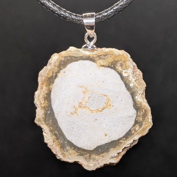 Pendentif Tranche de bois fossilisé