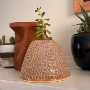 Puede incluir: Una pequeña maceta de cerámica marrón texturizada con una planta suculenta. La maceta tiene un patrón único en forma de panal y una base ancha. Otros elementos decorativos incluyen una maceta con forma de rostro de terracota y una maceta negra con una suculenta.
