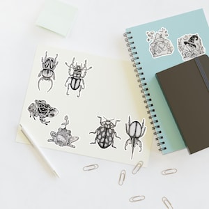 Naturinspirierte Aufkleber Blätter handgezeichnet für Käfer und Frosch Liebhaber, ästhetisches Dekor, Journal Zubehör, Geschenke für Entomologie Fans, Kunsthandwerk