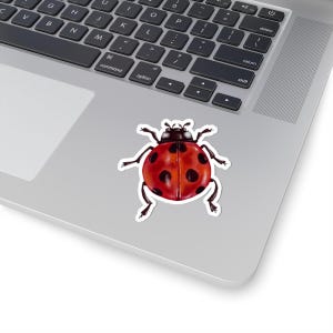 Marienkäfer Insekt Aufkleber, Käfer Geschenk, Insekten Liebhaber Geschenk, Natur Inspiriert Scrapbooking, Laptop Dekor, Planer Zubehör