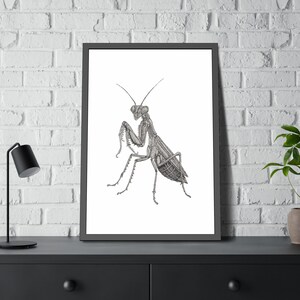 Puede incluir: Ilustración en blanco y negro enmarcada de una mantis religiosa. El dibujo detallado muestra el cuerpo segmentado, las patas espinosas y los ojos grandes del insecto. La obra de arte se exhibe sobre un fondo blanco, enmarcada en negro, contra una pared de ladrillos.