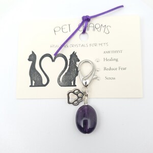 Amethyst Crystal Pendants for Pets for calming / healing / excessive barking