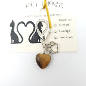 Tigers Eye Crystal Charm for Pets for strength / courage/ protection