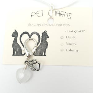 Clear Quartz Crystal Charms for Pets