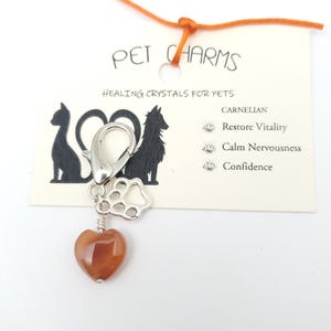 Carnelian Crystal Charms for Pets for Restore Vitality / Calm Nervousness / Confidence