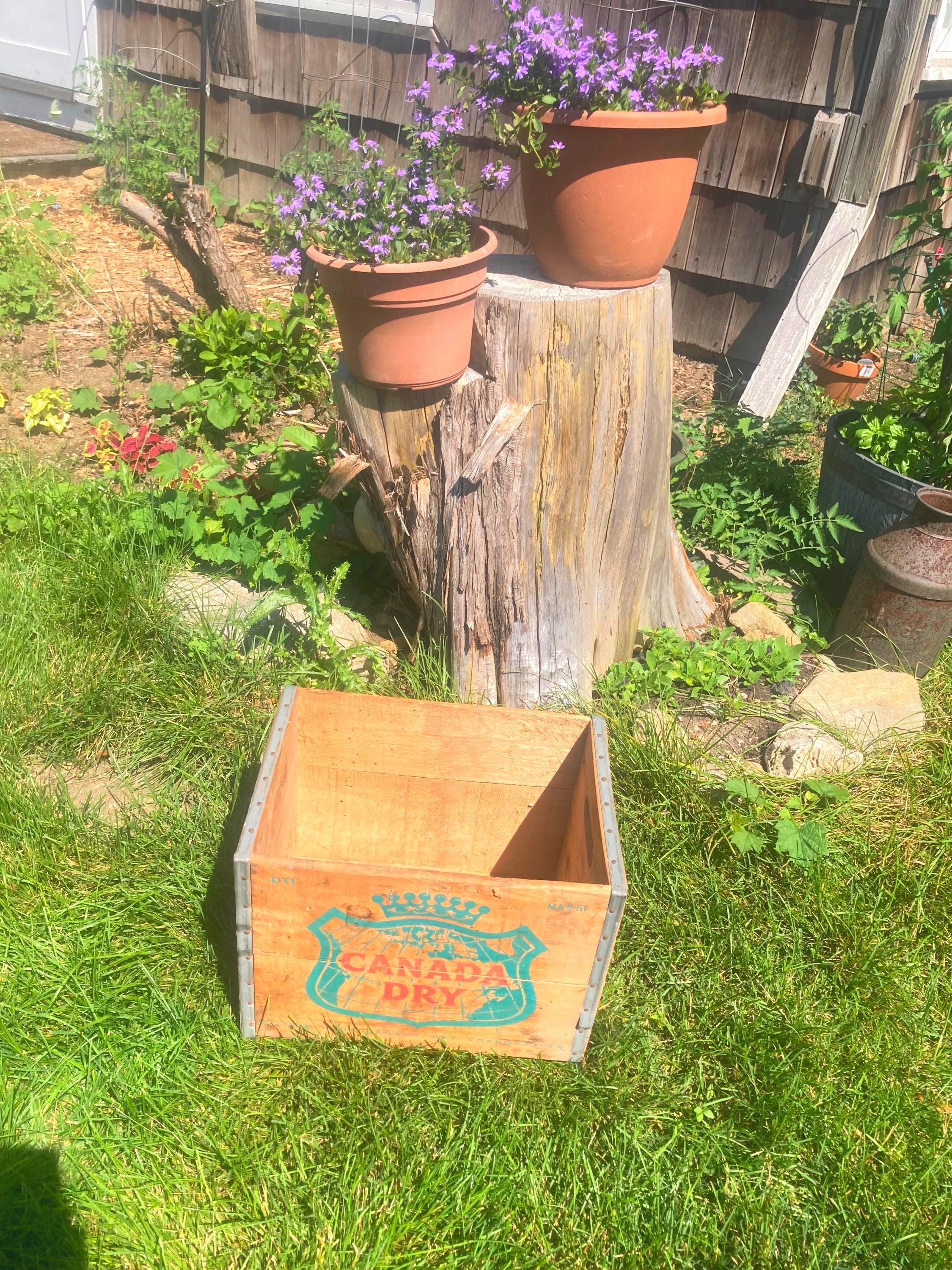 60s〜アメリカアンティークCANADA DRY 木箱ウッドボックスUSA Vintage CANADA DRY Crate Wood Box ビンテージ ウッドボックス