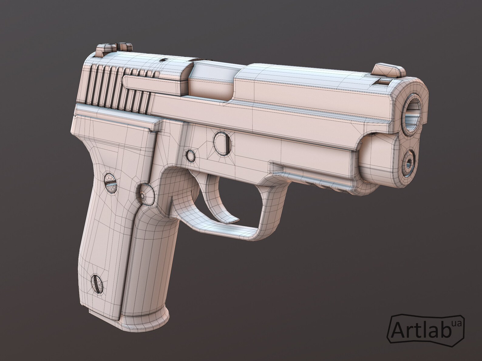Pistola M11 SIG Sauer U2012 Pistola Modelo 3D U2012 Modelo Etsy