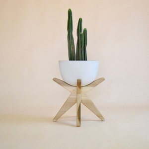 May include: A white ceramic planter with a cactus plant sits on a wooden tripod stand. The stand has a starburst design and is made of light wood.