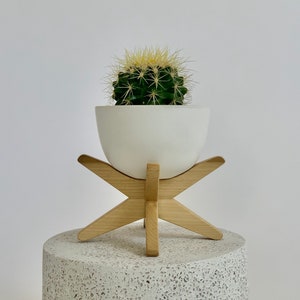 The Cortez Mini with Stand - Concrete Planter, Plant Stand, Wood Planter, Pots