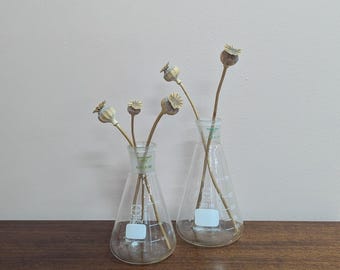 Par de matraces cónicos de vidrio de laboratorio de ciencias ex-escolares: 300 ml y 200 ml